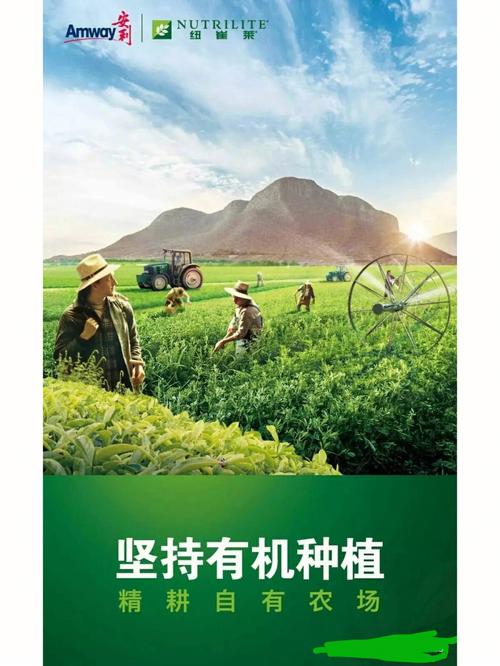 【安利武汉疫情,武汉安利产品专卖店】-第7张图片 【安利武汉疫情,武汉安利产品专卖店】-第7张图片