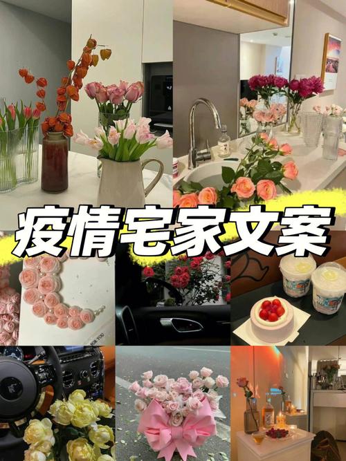 安静抗疫情(抗疫静待春暖花开)-第3张图片 安静抗疫情(抗疫静待春暖花开)-第3张图片