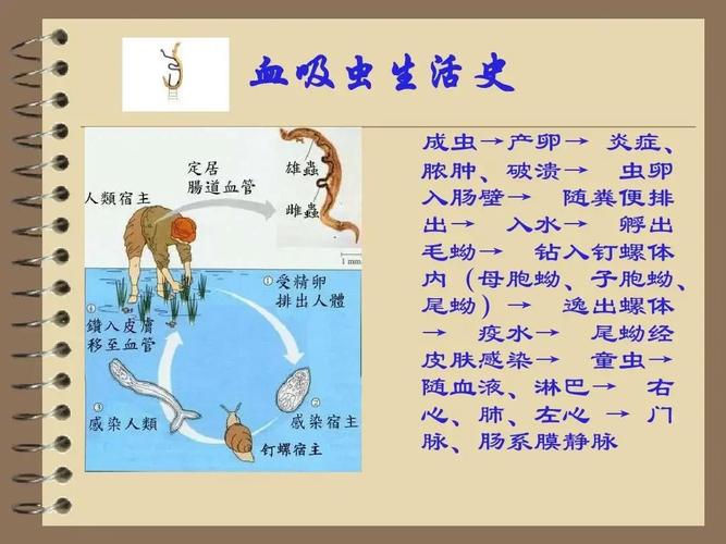安徽地区疫情等级，安徽疫情等级2021年-第5张图片