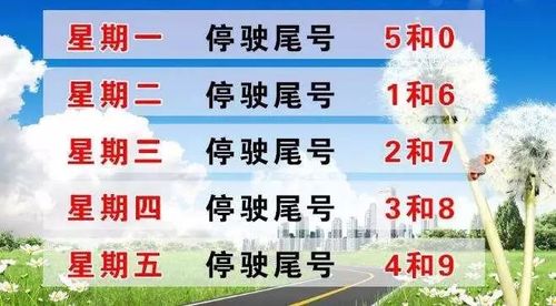 香河限行(香河限行区域)-第7张图片 香河限行(香河限行区域)-第7张图片