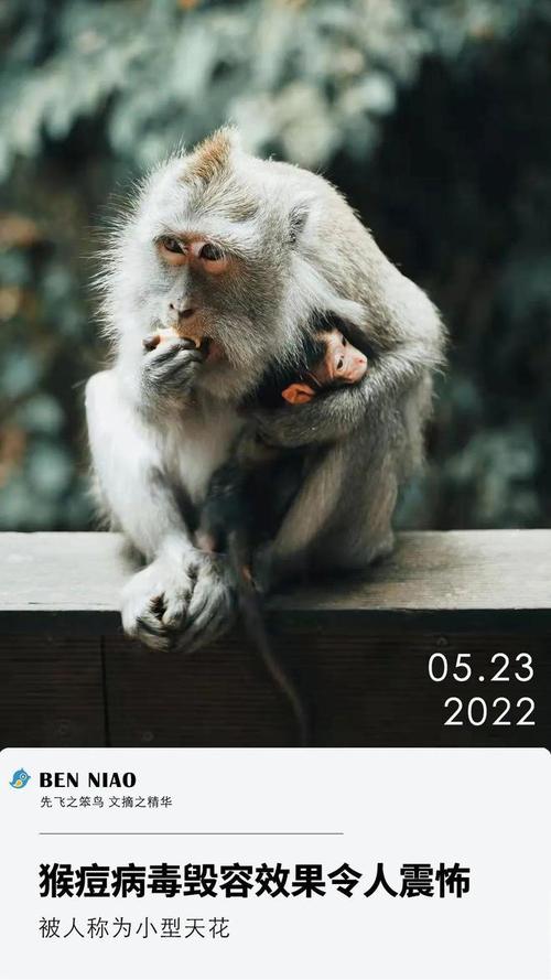 猴痘疫情最新消息/猴痘疫情最新消息国内