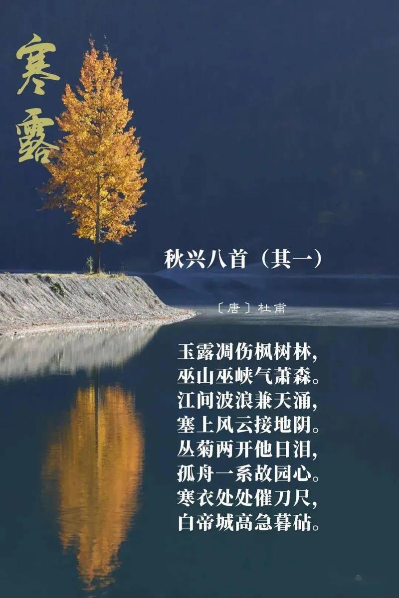 【户县限号,户县限号几点到几点户县限号区域】-第6张图片 【户县限号,户县限号几点到几点户县限号区域】-第6张图片