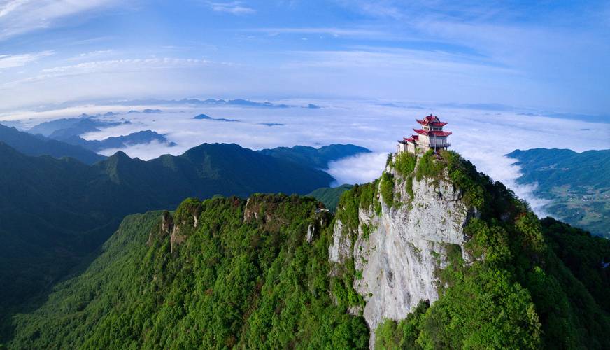 安徽白马疫情(安徽白马疫情最新消息)-第3张图片 安徽白马疫情(安徽白马疫情最新消息)-第3张图片