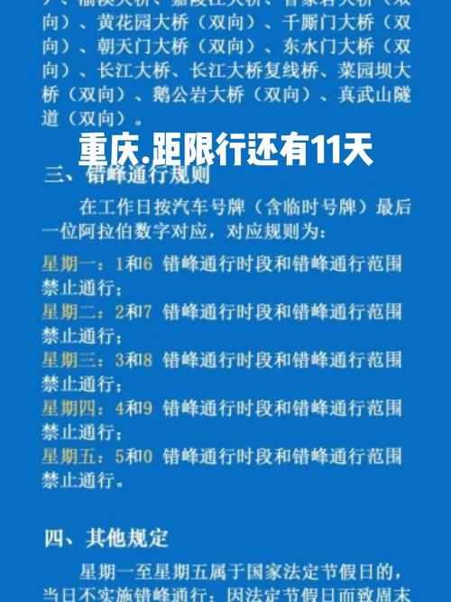 重庆限行处罚/重庆限行处罚规定第一次-第7张图片 重庆限行处罚/重庆限行处罚规定第一次-第7张图片