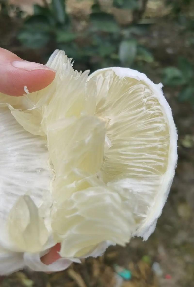 安江沙湾疫情(安江沙湾疫情最新消息)-第5张图片 安江沙湾疫情(安江沙湾疫情最新消息)-第5张图片