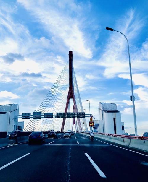 杨浦大桥限行(杨浦大桥限行时间和路段图)-第2张图片 杨浦大桥限行(杨浦大桥限行时间和路段图)-第2张图片