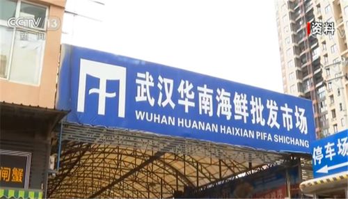安徽疫情武汉-武汉对安徽疫情-第1张图片 安徽疫情武汉-武汉对安徽疫情-第1张图片