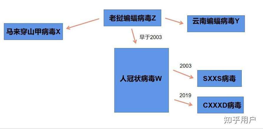 安徽疫情武汉-武汉对安徽疫情-第4张图片 安徽疫情武汉-武汉对安徽疫情-第4张图片