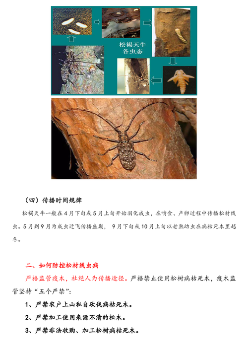 松材线虫病疫情/松材线虫病疫情防控app下载安装-第6张图片 松材线虫病疫情/松材线虫病疫情防控app下载安装-第6张图片