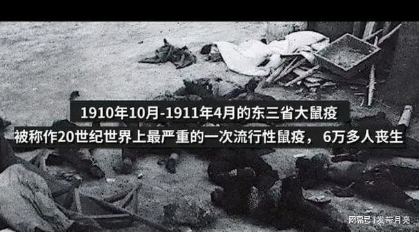 【2008的疫情,2008年疫情】-第1张图片 【2008的疫情,2008年疫情】-第1张图片