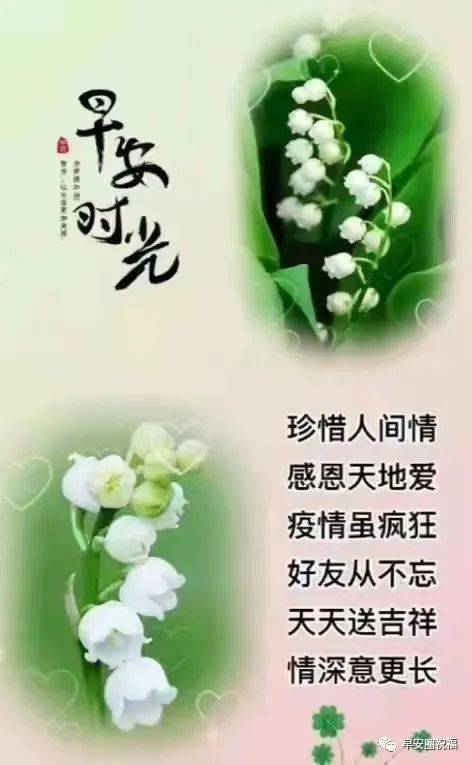 【疫情名人名言,疫情名人名言素材】-第1张图片 【疫情名人名言,疫情名人名言素材】-第1张图片