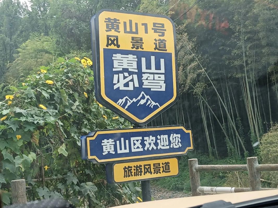 【安徽黄山疫情旅游,黄山旅游 疫情】-第5张图片 【安徽黄山疫情旅游,黄山旅游 疫情】-第5张图片