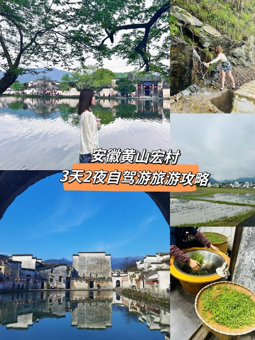 【安徽黄山疫情旅游,黄山旅游 疫情】-第7张图片 【安徽黄山疫情旅游,黄山旅游 疫情】-第7张图片