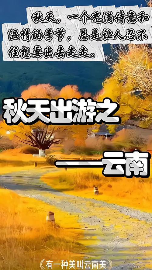 安宁温泉疫情-安宁温泉疫情最新消息-第3张图片 安宁温泉疫情-安宁温泉疫情最新消息-第3张图片