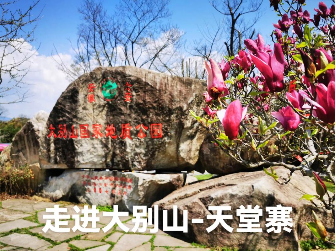 安徽疫情景区-安徽疫情景区有哪些-第7张图片 安徽疫情景区-安徽疫情景区有哪些-第7张图片