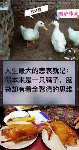 安庆25疫情-安庆疫情情况1月28日-第1张图片 安庆25疫情-安庆疫情情况1月28日-第1张图片