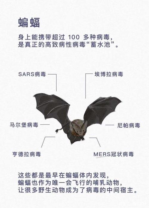 加拿大新冠疫情最新消息(加拿大新型冠状疫情最新消息)-第8张图片 加拿大新冠疫情最新消息(加拿大新型冠状疫情最新消息)-第8张图片
