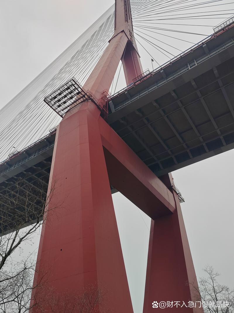 杨浦大桥限行(杨浦大桥限行时间货车)