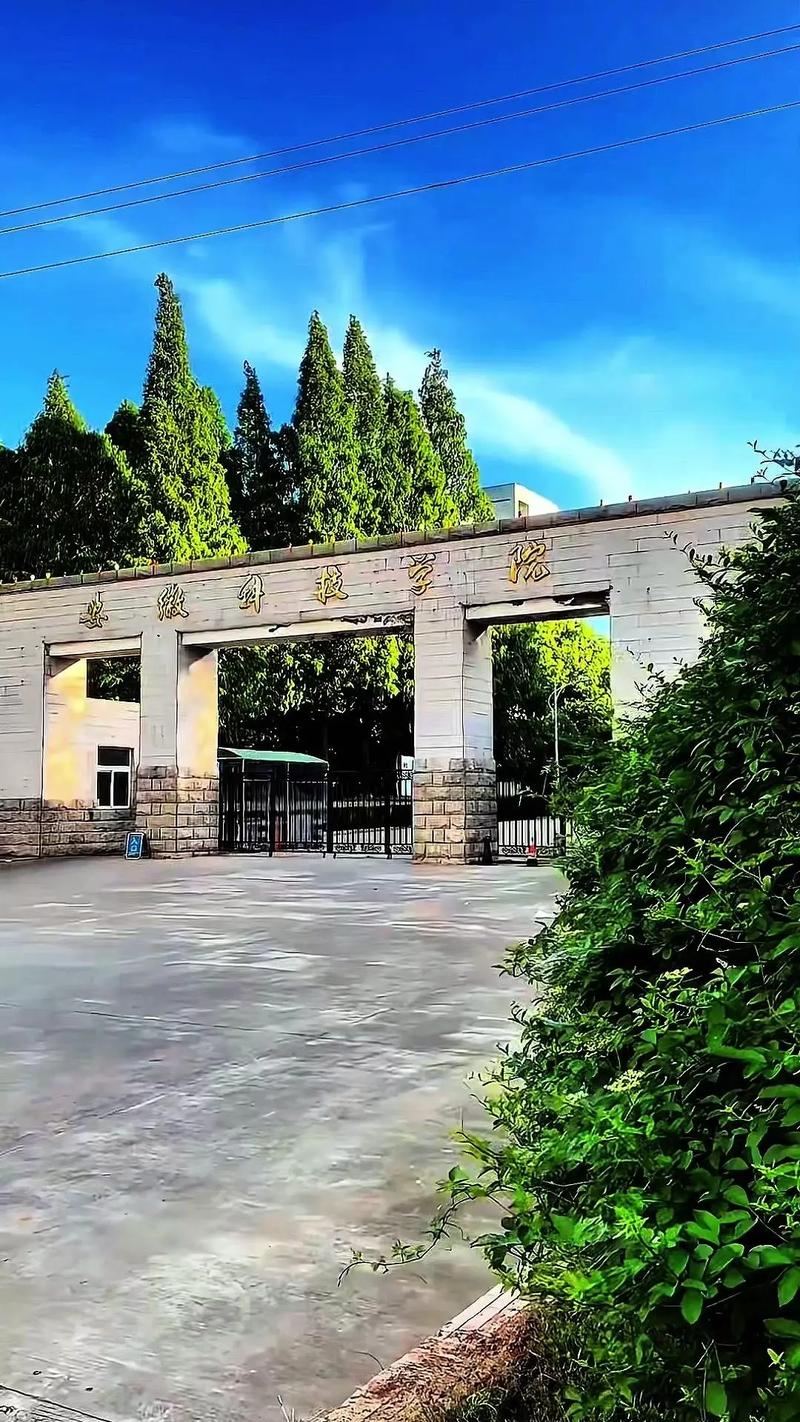 安徽疫情大学(安徽疫情学生)-第1张图片 安徽疫情大学(安徽疫情学生)-第1张图片