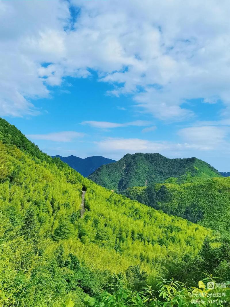 【安吉抗疫情,安吉县最新防疫通告】-第2张图片 【安吉抗疫情,安吉县最新防疫通告】-第2张图片