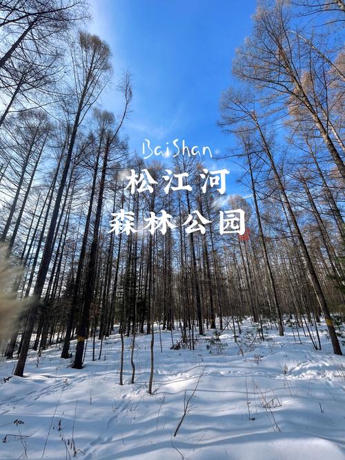 白山市疫情/白山市疫情隔离政策