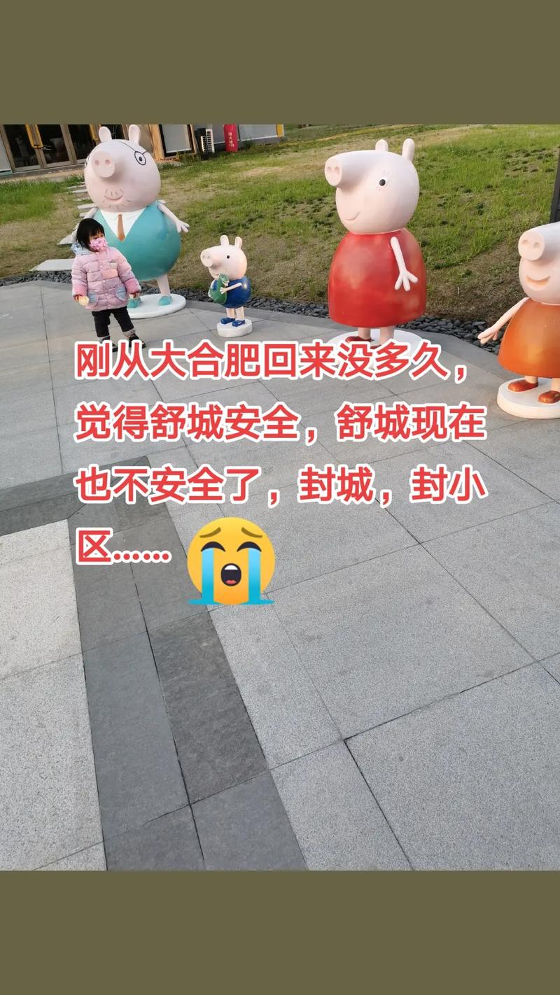 安徽舒城疫情/安徽舒城肺炎最新消息-第5张图片 安徽舒城疫情/安徽舒城肺炎最新消息-第5张图片