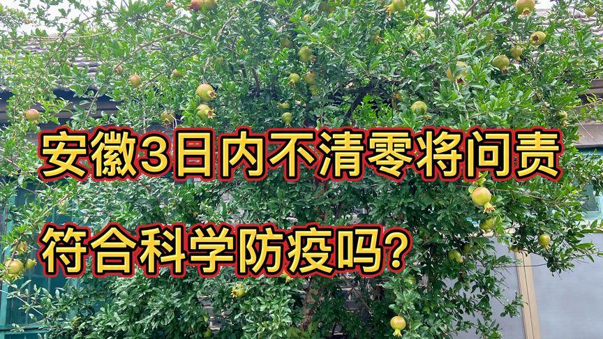 安徽疫情期,安徽疫情期间线上课程-第6张图片 安徽疫情期,安徽疫情期间线上课程-第6张图片
