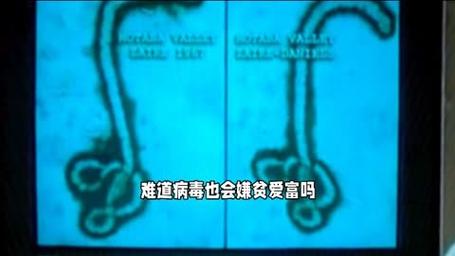 刚果埃博拉疫情-刚果埃博拉疫情最新消息-第2张图片 刚果埃博拉疫情-刚果埃博拉疫情最新消息-第2张图片