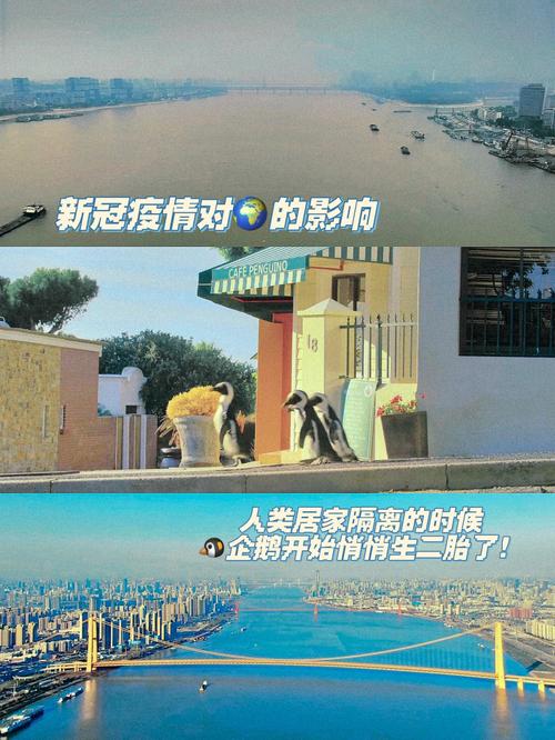 2021疫情感悟简短-2020疫情感悟短句-第6张图片 2021疫情感悟简短-2020疫情感悟短句-第6张图片