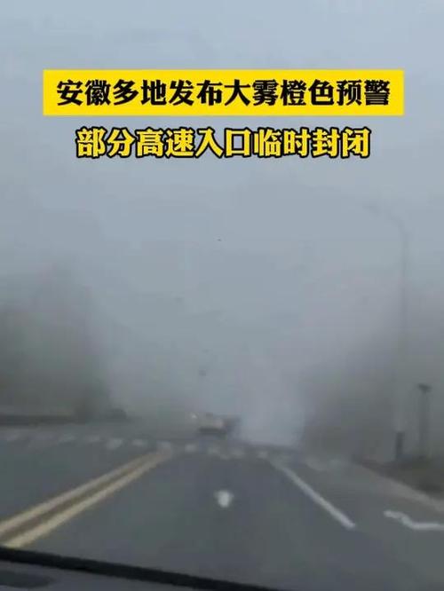 安徽罗集疫情/安徽罗集疫情最新情况-第7张图片 安徽罗集疫情/安徽罗集疫情最新情况-第7张图片