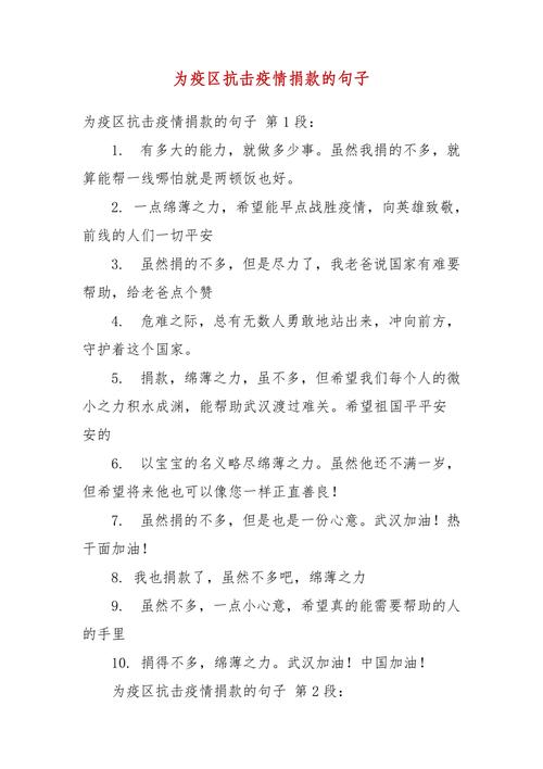 【支援疫情,支援疫情防控工作总结】-第4张图片 【支援疫情,支援疫情防控工作总结】-第4张图片