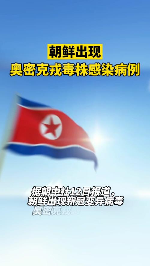 朝鲜疫情发现一个毙一个是真的吗,朝鲜疫情一个都没有吗-第6张图片 朝鲜疫情发现一个毙一个是真的吗,朝鲜疫情一个都没有吗-第6张图片