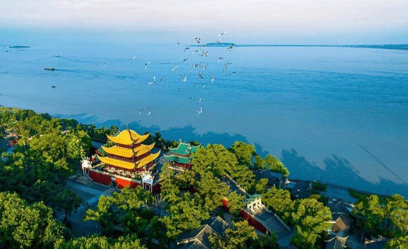 南和限号/南和限号吗-第2张图片 南和限号/南和限号吗-第2张图片