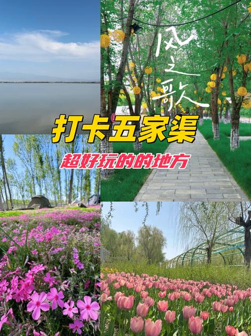 安宁渠疫情-安宁渠属于哪个市-第2张图片 安宁渠疫情-安宁渠属于哪个市-第2张图片