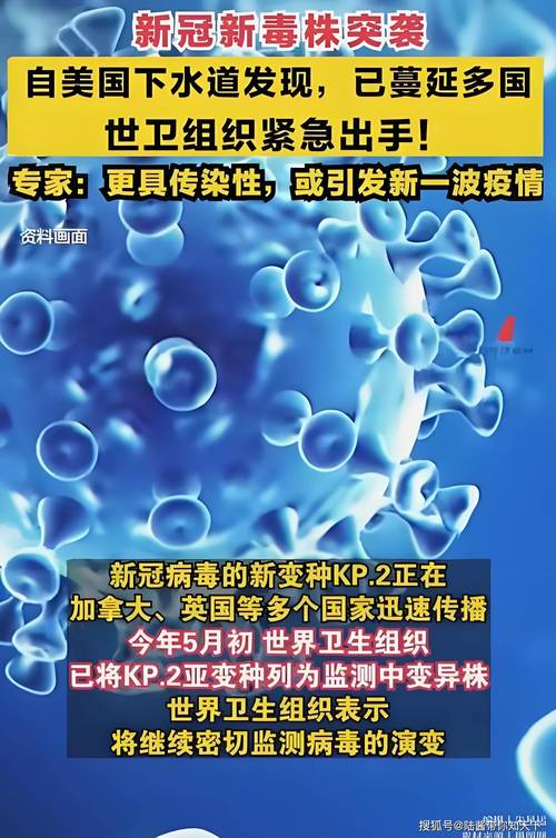 美国今日疫情/美国今日疫情通报-第6张图片