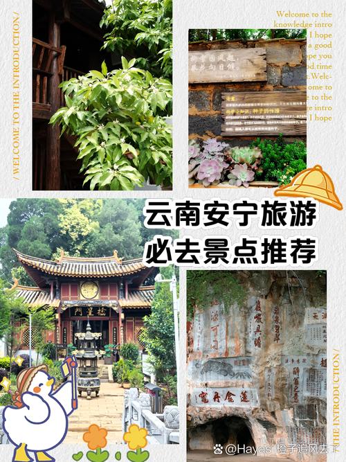 安宁最新疫情,安宁最新消息-第2张图片 安宁最新疫情,安宁最新消息-第2张图片