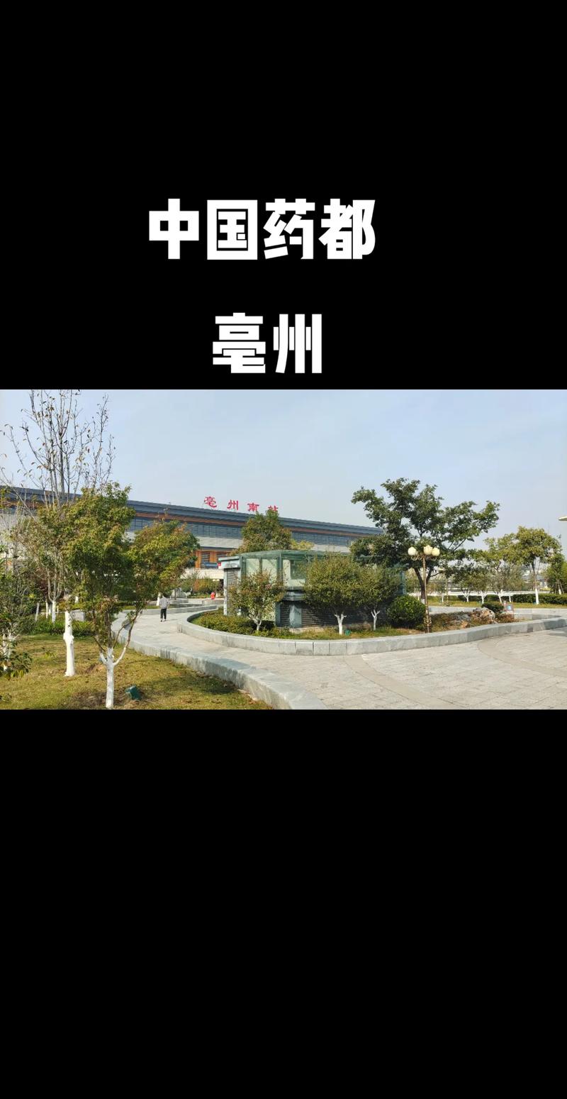 【亳州限号,亳州限号查询今天限号多少】-第7张图片 【亳州限号,亳州限号查询今天限号多少】-第7张图片
