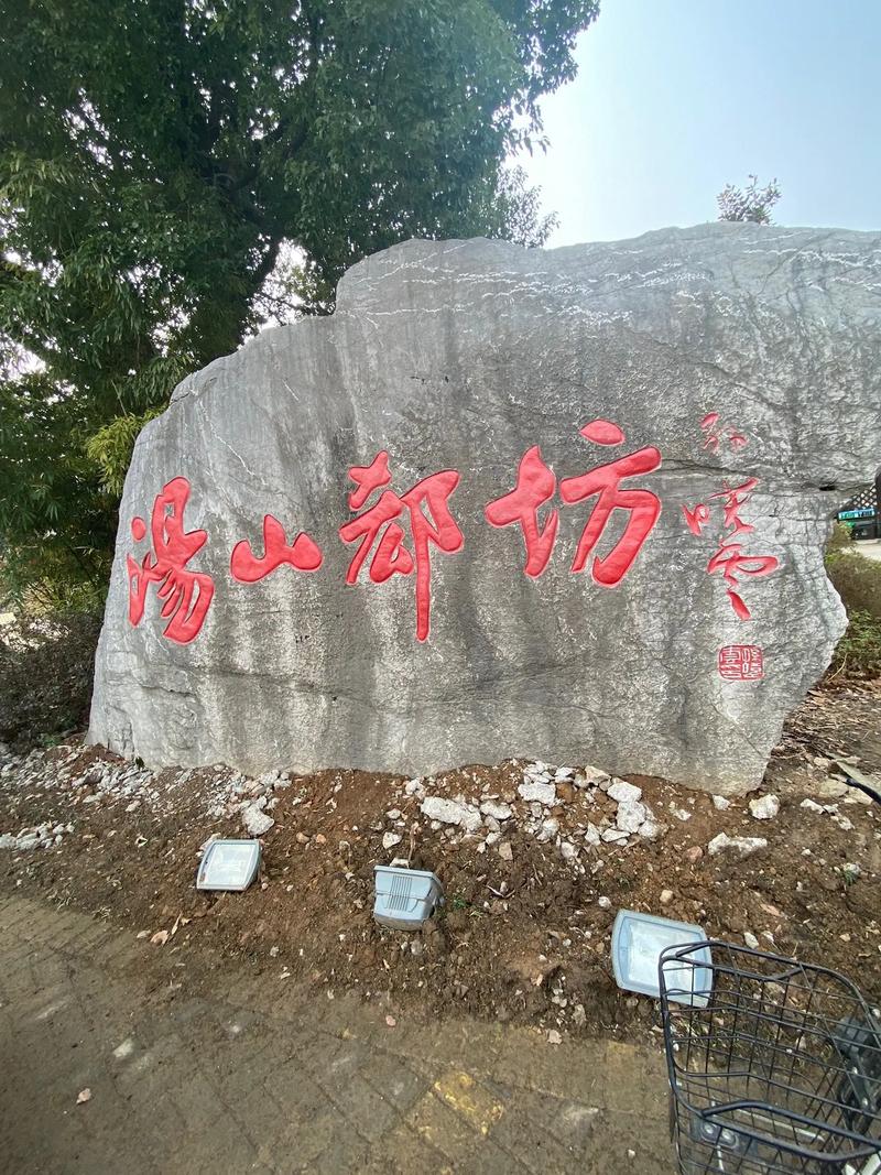 安徽汤山疫情/安徽汤山疫情防控电话-第3张图片 安徽汤山疫情/安徽汤山疫情防控电话-第3张图片