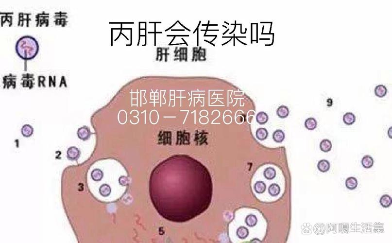 涡阳疫情-涡阳疫情最新消息今天-第7张图片 涡阳疫情-涡阳疫情最新消息今天-第7张图片