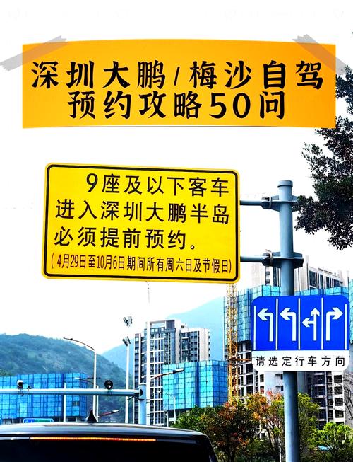 大鹏限行预约/大鹏限行预约怎么预约-第1张图片 大鹏限行预约/大鹏限行预约怎么预约-第1张图片