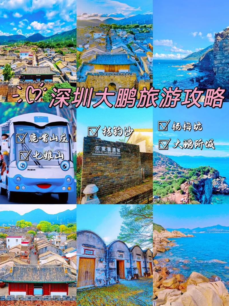 大鹏限行预约/大鹏限行预约怎么预约-第7张图片 大鹏限行预约/大鹏限行预约怎么预约-第7张图片