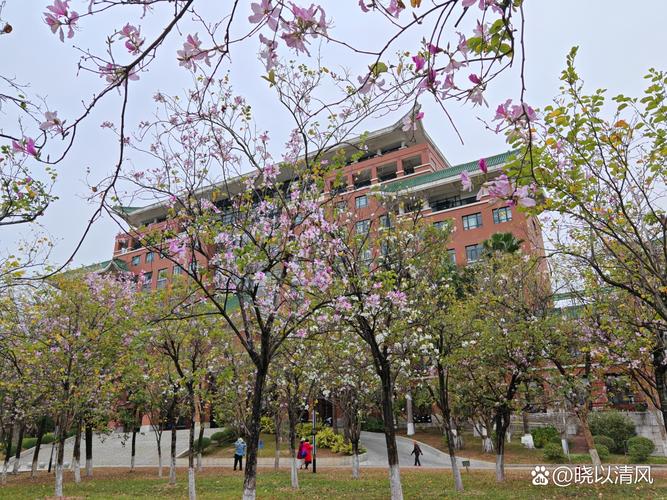 安工大疫情/安徽工业大学疫情防控-第5张图片 安工大疫情/安徽工业大学疫情防控-第5张图片