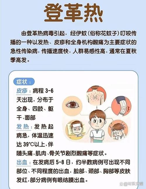 登革热疫情,登革热病是什么症状-第5张图片 登革热疫情,登革热病是什么症状-第5张图片
