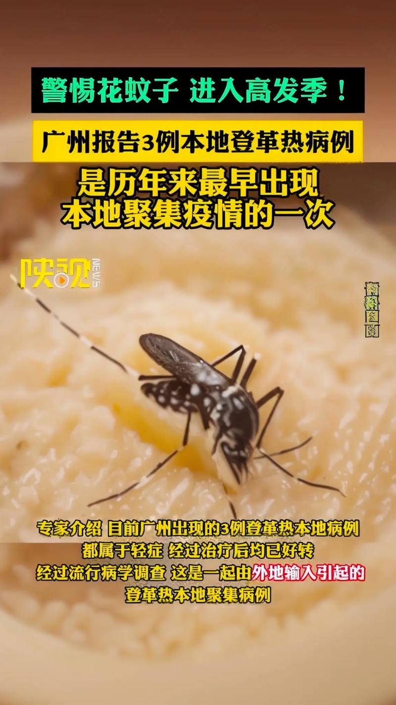 登革热疫情,登革热病是什么症状-第6张图片 登革热疫情,登革热病是什么症状-第6张图片