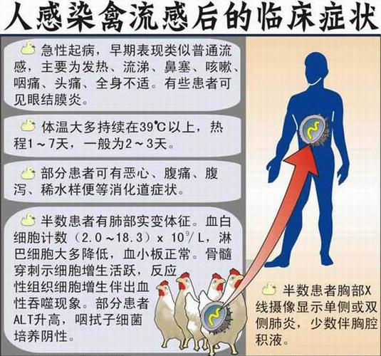 2017贵阳禽流感疫情-今天贵阳2017-第2张图片 2017贵阳禽流感疫情-今天贵阳2017-第2张图片