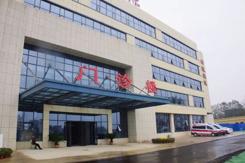周口限号吗-周口限号不?-第1张图片 周口限号吗-周口限号不?-第1张图片