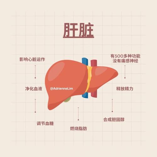 广东登革热疫情,广东登革热疫情怎么样传染的-第2张图片 广东登革热疫情,广东登革热疫情怎么样传染的-第2张图片