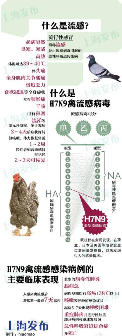2013禽流感疫情,2013年 禽流感-第3张图片 2013禽流感疫情,2013年 禽流感-第3张图片