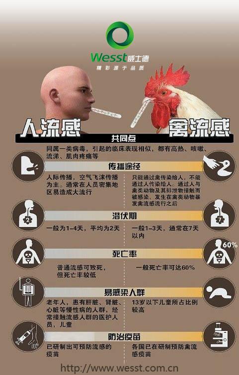 2013禽流感疫情,2013年 禽流感-第5张图片 2013禽流感疫情,2013年 禽流感-第5张图片