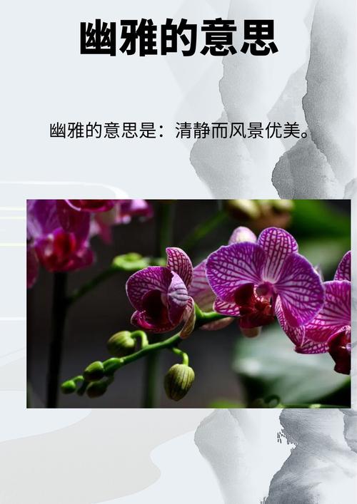 内黄限号-内黄限号吗-第8张图片